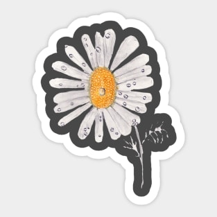 Daisy with drips Sticker